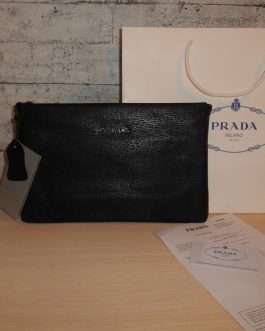 Advise LARGE Organizer, envelope Pouch, Handbag, bag, skin