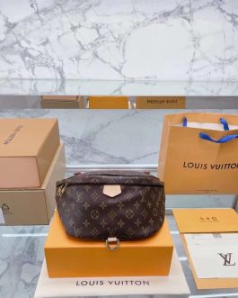 Louis Vuitton Women's handbag bag in a box, skin