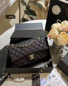 Chanel elegant women's handbag