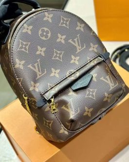 Elegant women's handbag Louis Vuitton Backpack