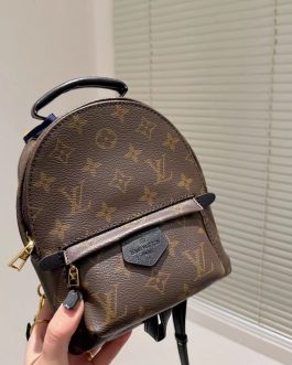 Elegant women's handbag Louis Vuitton Backpack