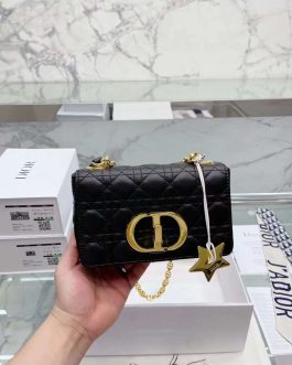 Geanta de dama Dior eleganta