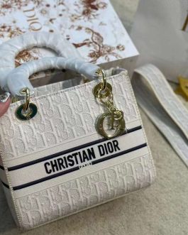 Elegant Dior women's handbag