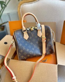 Elegant Louis Vuitton women's handbag