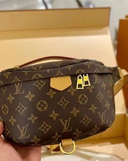 Elegant Louis Vuitton women's handbag