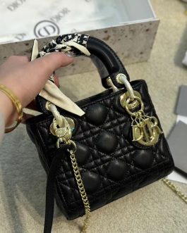 Elegant women's Dior handbag