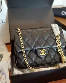 Chanel elegant women's handbag