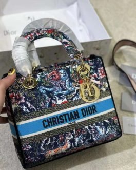 Elegant Dior women's handbag