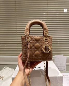 Elegant Dior women's handbag