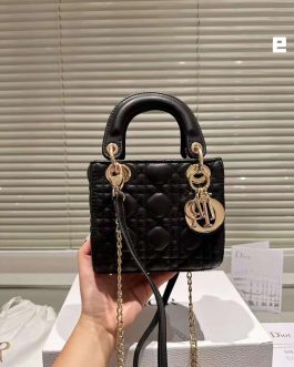 Elegant Dior women's handbag