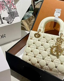 Elegant Dior women's handbag