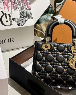 Elegant women's Dior handbag