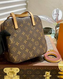 Elegant Louis Vuitton women's handbag