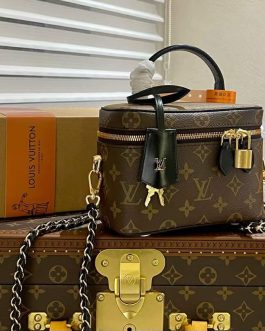 Elegant Louis Vuitton women's handbag