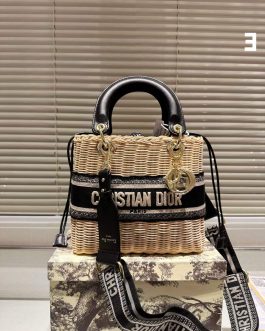 Elegant Dior women's handbag