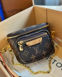 Elegant Louis Vuitton women's handbag