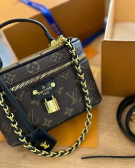 Elegant Louis Vuitton women's handbag