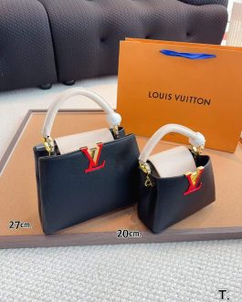 Elegant Louis Vuitton women's handbag