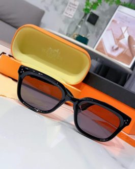 Hermes sunglasses