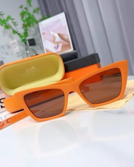 Hermes sunglasses