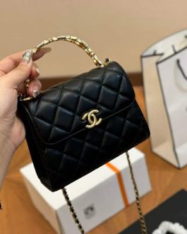 Chanel elegant women's handbag