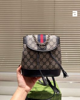 Elegant women's handbag Gucci backpack