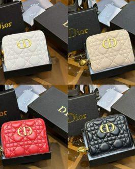 Dior WALLET, skin