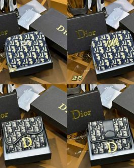 Dior WALLET, skin