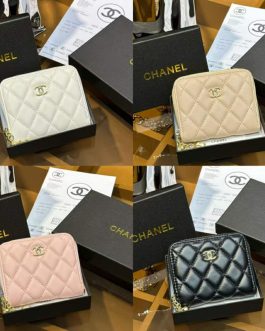 CHANEL PORTFOLIO, skin