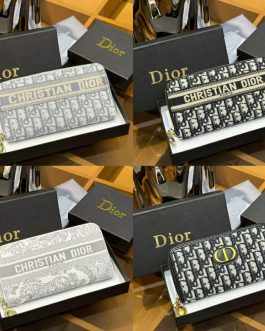 Dior WALLET, skin