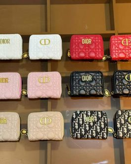 Dior WALLET, skin