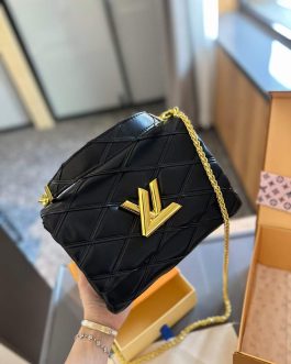 Elegant Louis Vuitton women's handbag