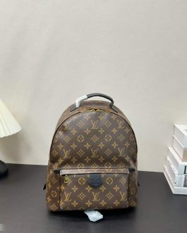 Louis Vuitton handbag women's backpack bag