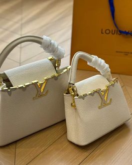 Louis Vuitton handbag women's bag