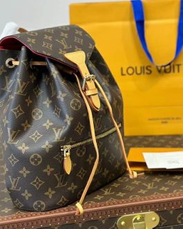 Louis Vuitton backpack bag