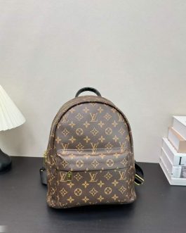 Louis Vuitton backpack bag