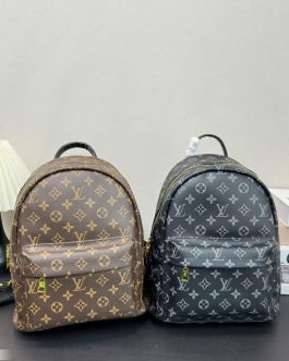 Louis Vuitton backpack bag