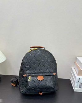 Louis Vuitton backpack bag