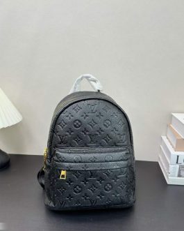 Louis Vuitton backpack bag