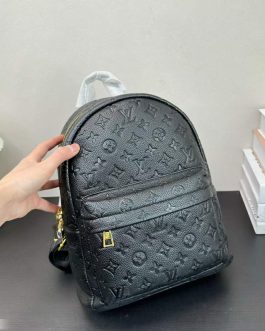 Louis Vuitton backpack bag