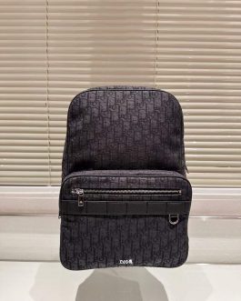 Dior backpack bag