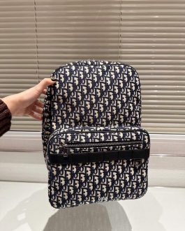 Dior backpack bag