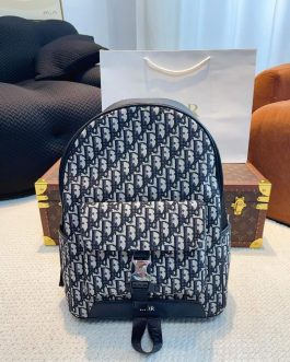 Dior backpack bag