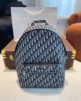 Dior backpack bag