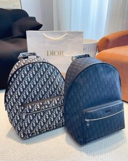 Dior backpack bag