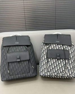 Dior backpack bag