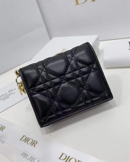 Dior leather wallet