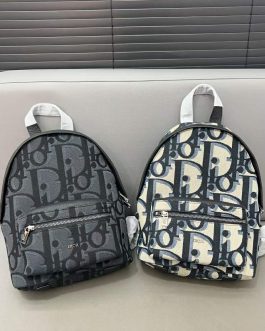 Dior backpack bag