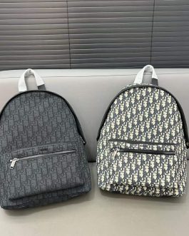 Dior backpack bag