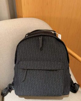 Dior backpack bag